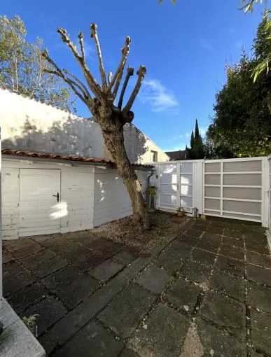 Taille d'un érable champêtre à Saintes, Saintes, Arbo’Côte Paysage
