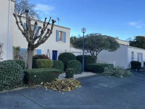 Taille d'un olivier et de deux érables pour une copro à La Rochelle, Saintes, Arbo’Côte Paysage
