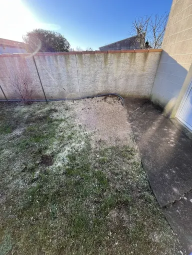 Abattage d’un figuier mort avec rognage de la souche à Saintes, Saintes, Arbo’Côte Paysage