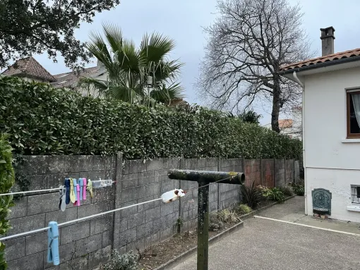 Rabattage d’une haie de laurier à Royan, Saintes, Arbo’Côte Paysage