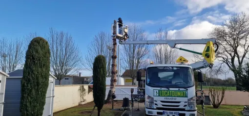 Abattage par démontage d'un pin noir pour une construction, Saintes, Arbo’Côte Paysage