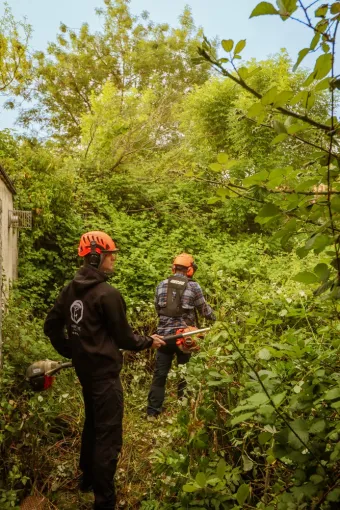 Débroussaillage d'un terrain à Saintes, Saintes, Arbo’Côte Paysage