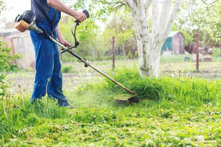 Élagueur pour faire l'entretien régulier des espaces verts dans les parcs publics, Saintes, Arbo’Côte Paysage
