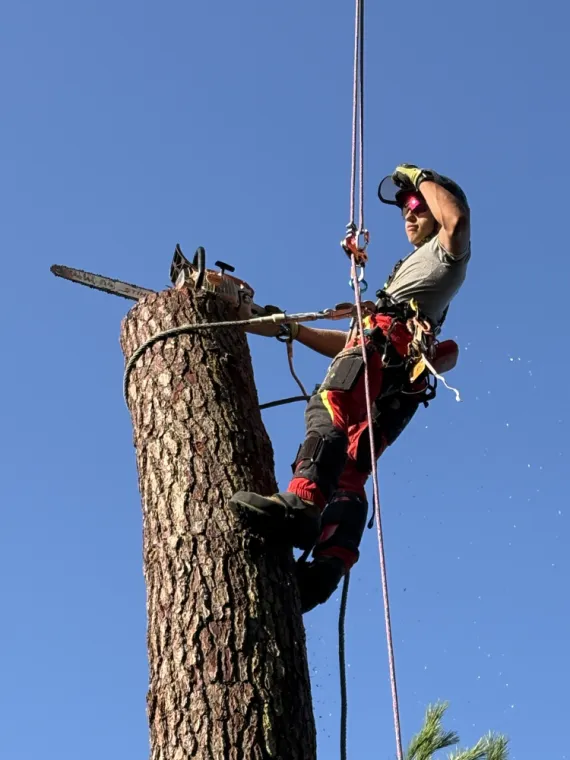 Constamment Formé !, Saintes, Arbo’Côte Paysage