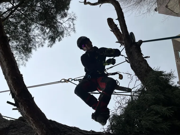 Travailler avec le sourire et être épanoui dans notre métier !, Saintes, Arbo’Côte Paysage