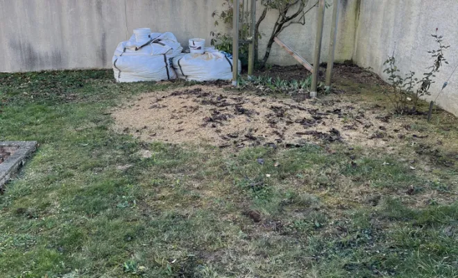 Abattage d’un cerisier mort avec rognage de la souche à saintes, Saintes, Arbo’Côte Paysage