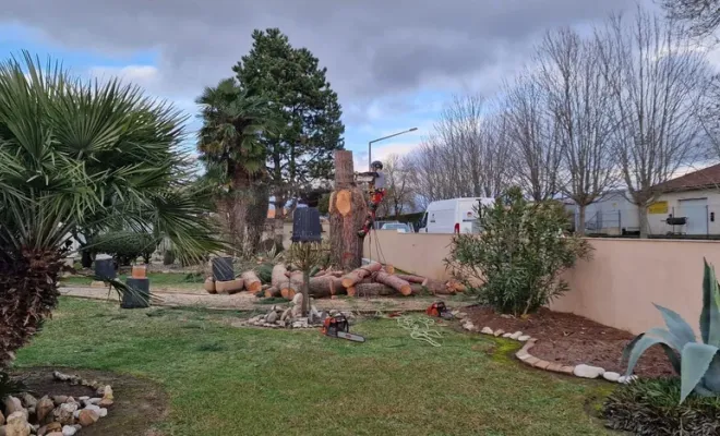 Abattage par démontage d'un pin parasol pour une construction à Royan, Saintes, Arbo’Côte Paysage