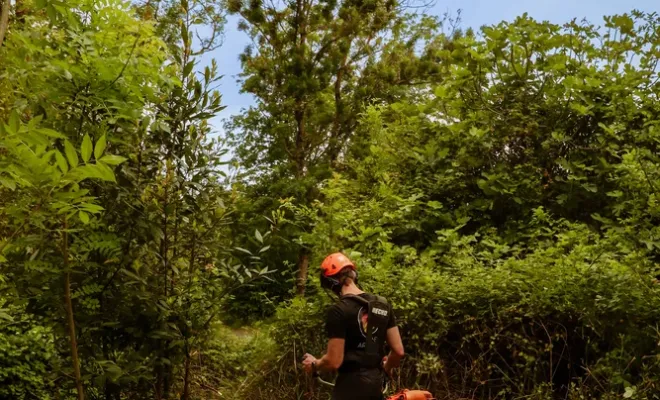 Débroussaillage d'un terrain à Saintes, Saintes, Arbo’Côte Paysage