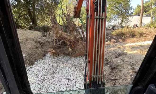 Abattage, Saintes, Arbo’Côte Paysage