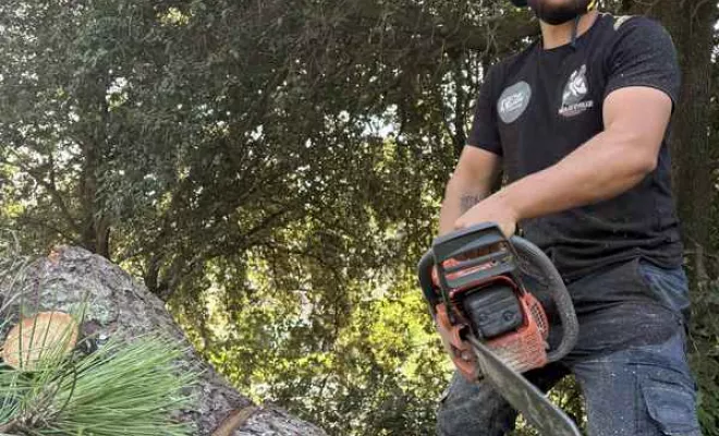 Abattage, Saintes, Arbo’Côte Paysage